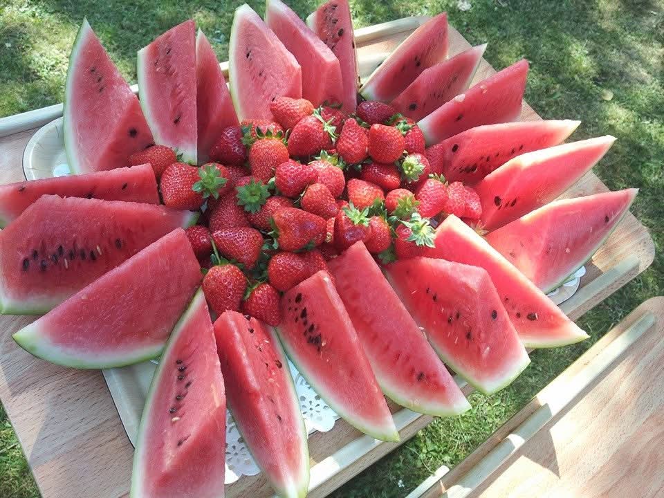 Collection of Watermelon and Strawberries for residents having a picnic.
